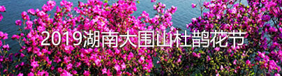 2019湖南大围山杜鹊花节